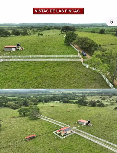  FINCA EN VENTA – LOS SANTOS / MACARACAS - Imagen 2