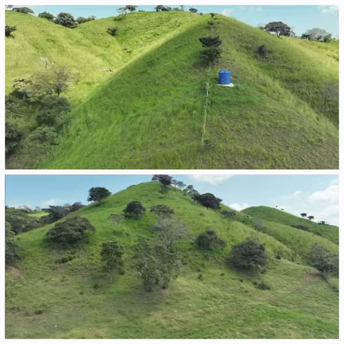 FINCA DE 98 HECTÁREAS + 7,565.05 m2, EN LAS CABRAS DE PESÉ, PROVINCIA DE HERRERA - Imagen 3