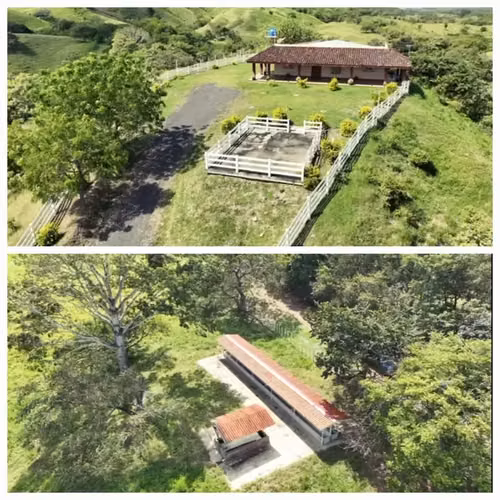 FINCA DE 98 HECTÁREAS + 7,565.05 m2, EN LAS CABRAS DE PESÉ, PROVINCIA DE HERRERA - Imagen 12
