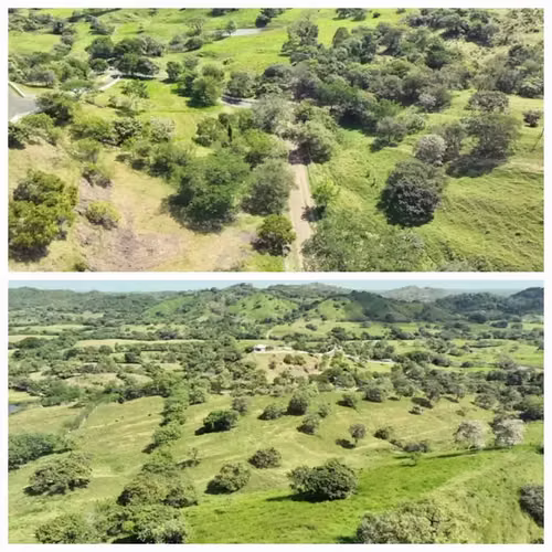 FINCA DE 98 HECTÁREAS + 7,565.05 m2, EN LAS CABRAS DE PESÉ, PROVINCIA DE HERRERA - Imagen 14