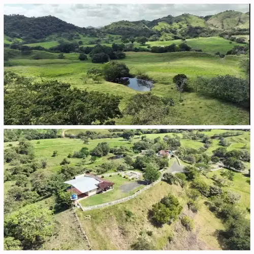 FINCA DE 98 HECTÁREAS + 7,565.05 m2, EN LAS CABRAS DE PESÉ, PROVINCIA DE HERRERA - Imagen 2