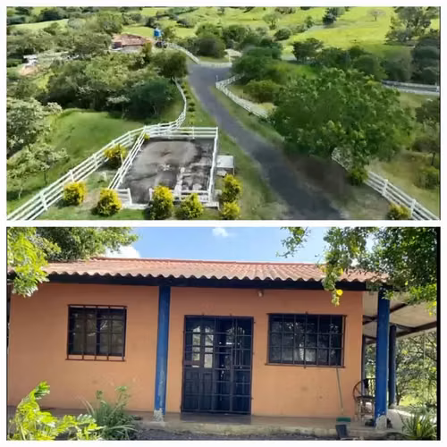 FINCA DE 98 HECTÁREAS + 7,565.05 m2, EN LAS CABRAS DE PESÉ, PROVINCIA DE HERRERA - Imagen 10