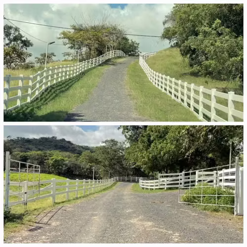 FINCA DE 98 HECTÁREAS + 7,565.05 m2, EN LAS CABRAS DE PESÉ, PROVINCIA DE HERRERA - Imagen 13