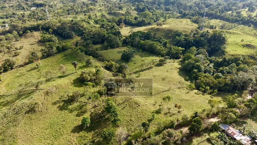 Terreno en Chiriqui, Bugaba, 4.5 hectareas en Camaron Arriba