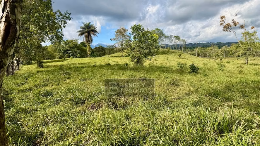 Terreno en Chiriqui, Bugaba, 4.5 hectareas en Camaron Arriba