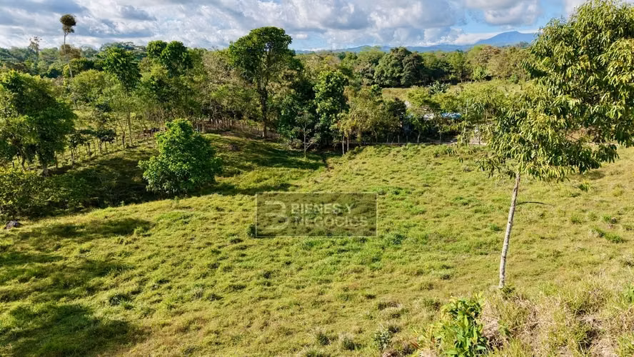 Terreno en Chiriqui, Bugaba, 4.5 hectareas en Camaron Arriba