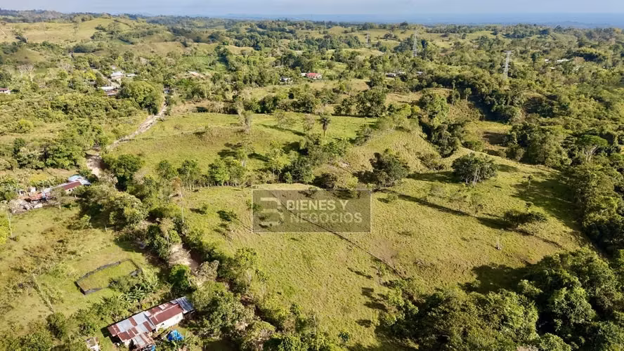 Terreno en Chiriqui, Bugaba, 4.5 hectareas en Camaron Arriba