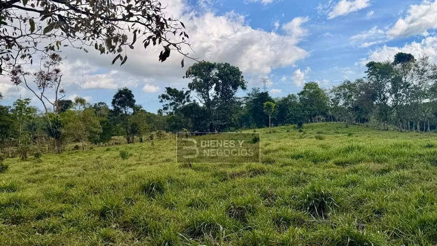 Terreno en Chiriqui, Bugaba, 4.5 hectareas en Camaron Arriba