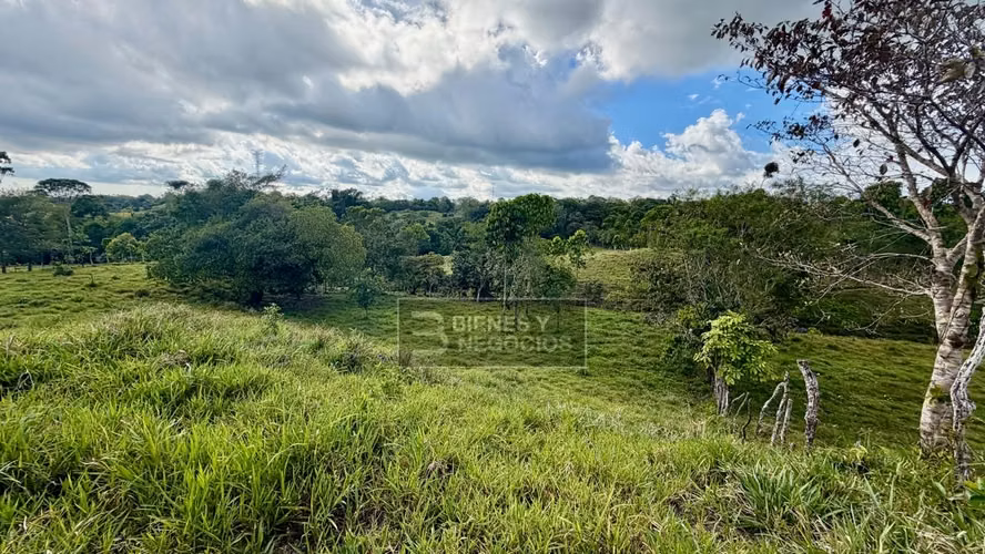 Terreno en Chiriqui, Bugaba, 4.5 hectareas en Camaron Arriba