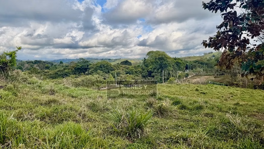 Terreno en Chiriqui, Bugaba, 4.5 hectareas en Camaron Arriba