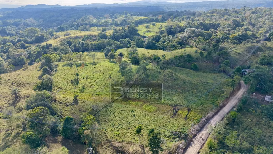 Terreno en Chiriqui, Bugaba, 4.5 hectareas en Camaron Arriba