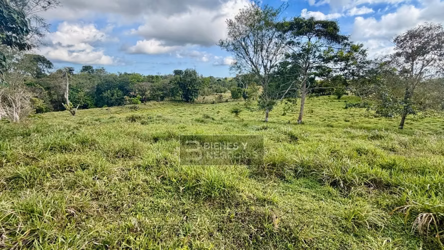 Terreno en Chiriqui, Bugaba, 4.5 hectareas en Camaron Arriba