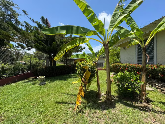 VENDO CASA EN SAN CARLOS — VIVE CAMINANDO SAN CARLOS