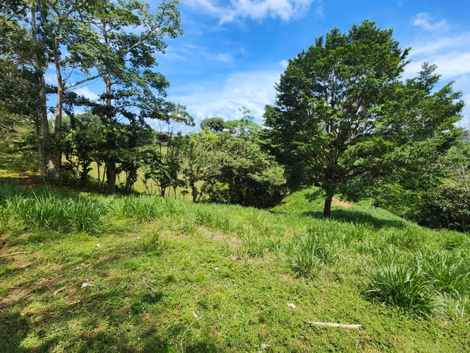 SE VENDE FINCA AGROPECUARIA EN COLÓN