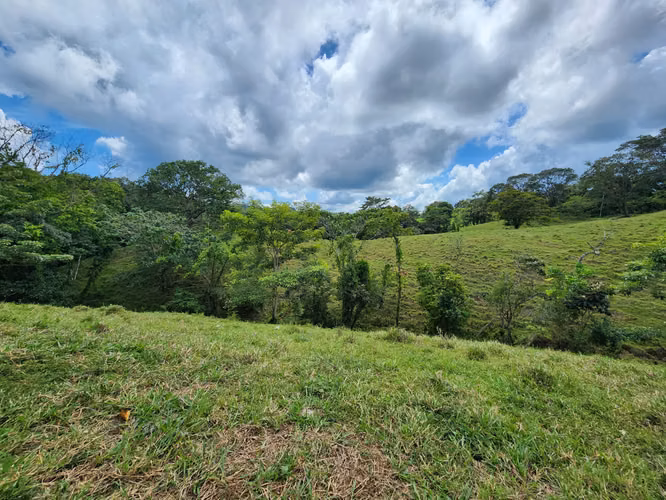 SE VENDE FINCA AGROPECUARIA EN COLÓN
