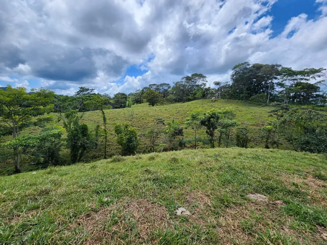SE VENDE FINCA AGROPECUARIA EN COLÓN