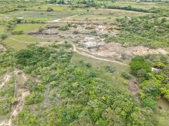 VENDO FINCA DE 21.5 HECTAREAS EN PENONOME CERCA DE LA CARRETERA PANAMERICANA-P - Imagen 9