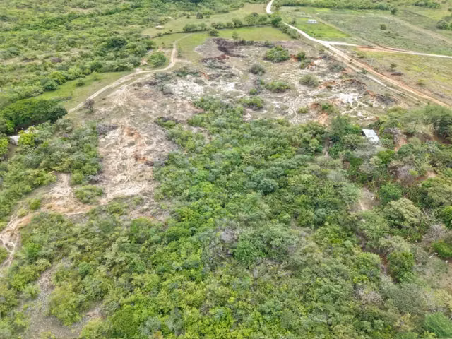 VENDO FINCA DE 21.5 HECTAREAS EN PENONOME CERCA DE LA CARRETERA PANAMERICANA-P - Imagen 11