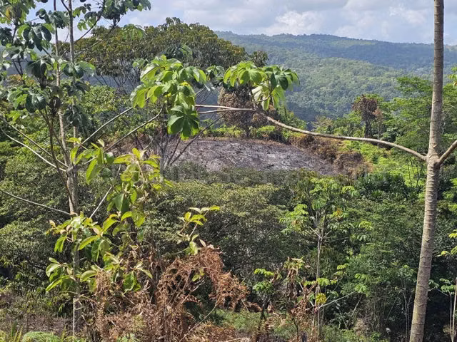 Lote Comercial (107 Ha) con Frente Directo al Corredor del Caribe - 26GP7534 - Imagen 11