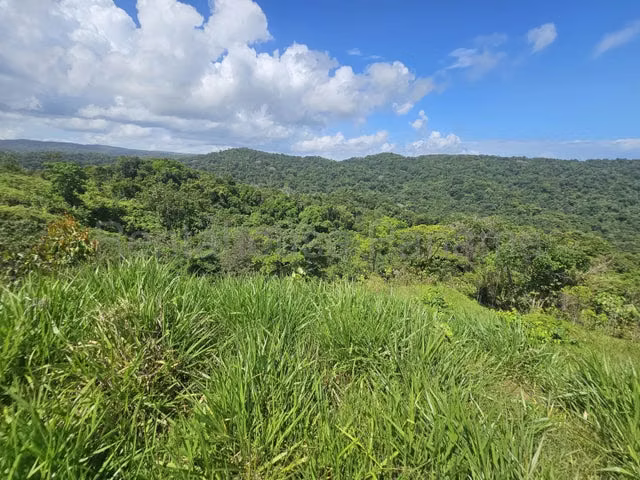 Lote Comercial (107 Ha) con Frente Directo al Corredor del Caribe - 26GP7534 - Imagen 10