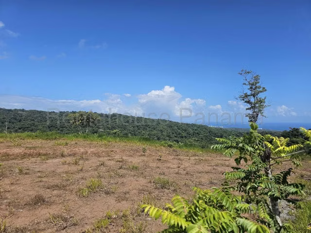 Lote Comercial (107 Ha) con Frente Directo al Corredor del Caribe - 26GP7534 - Imagen 2