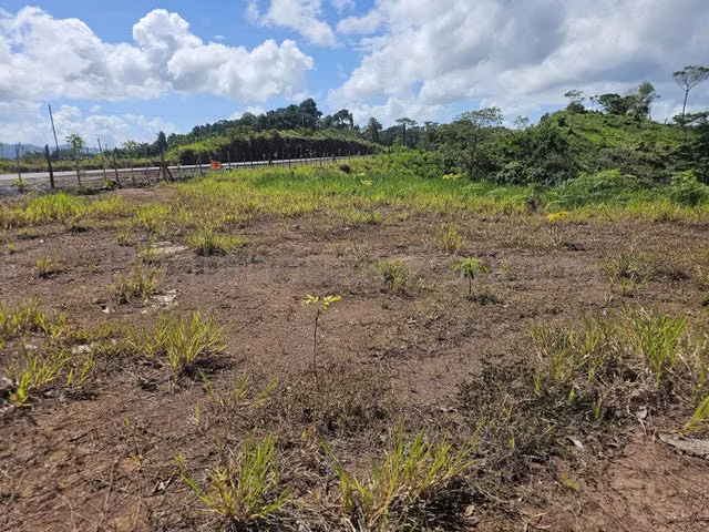 Lote Comercial (107 Ha) con Frente Directo al Corredor del Caribe - 26GP7534 - Imagen 5