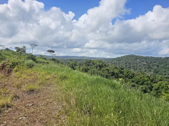 Lote Comercial (107 Ha) con Frente Directo al Corredor del Caribe - 26GP7534 - Imagen 3