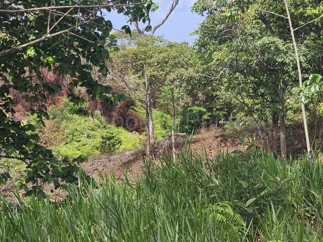 Lote Comercial (107 Ha) con Frente Directo al Corredor del Caribe - 26GP7534 - Imagen 9