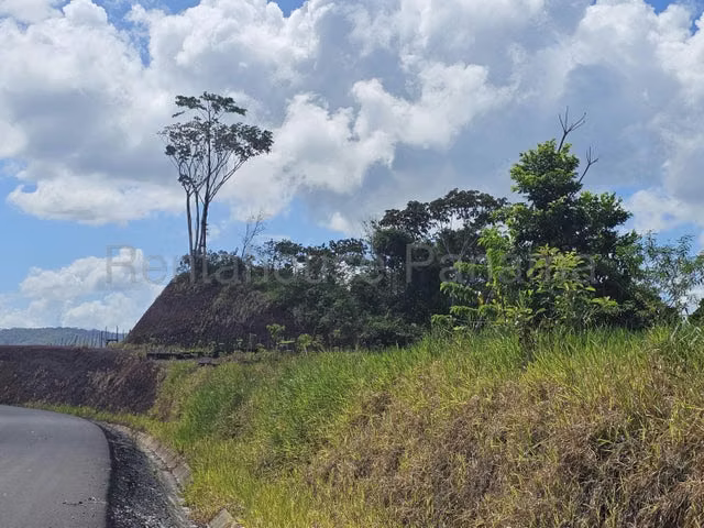 Lote Comercial (107 Ha) con Frente Directo al Corredor del Caribe - 26GP7534 - Imagen 12