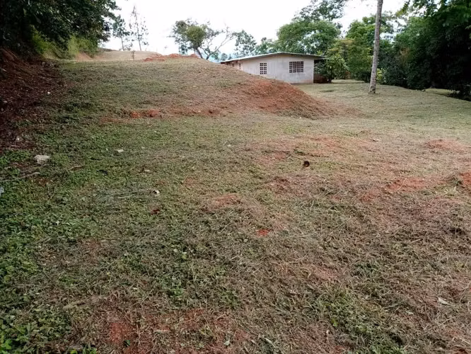 SE VENDE TERRENO  SAN CARLOS CAMINO A LA LAGUNA DE SAN CARLOS - Imagen 3