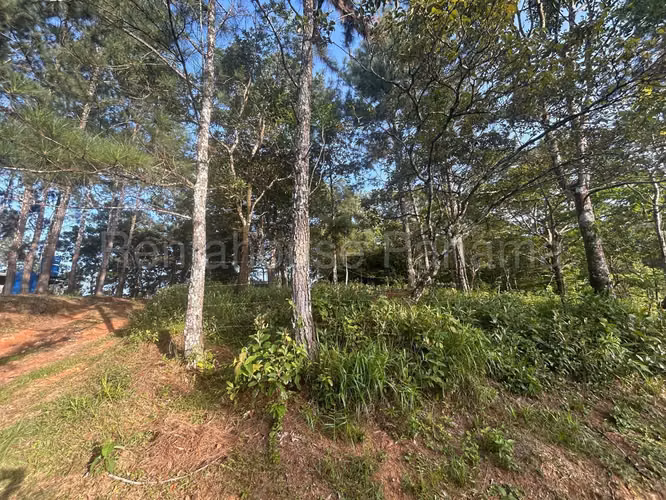 Se Vende Terreno en Cerro Azul DPA27-864 - Imagen 8