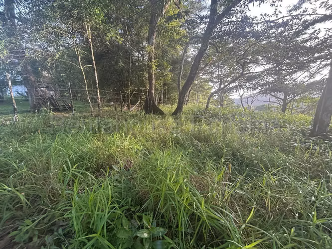 Se Vende Terreno en Cerro Azul DPA27-864 - Imagen 11