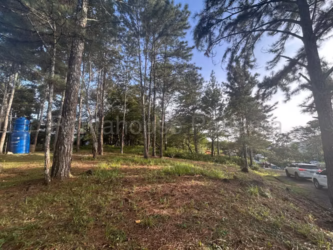 Se Vende Terreno en Cerro Azul DPA27-864