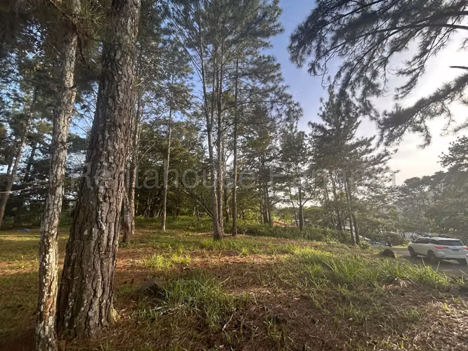 Se Vende Terreno en Cerro Azul DPA27-864 - Imagen 7