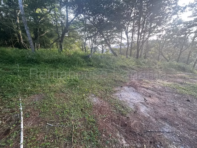 Se Vende Terreno en Cerro Azul DPA27-864 - Imagen 13