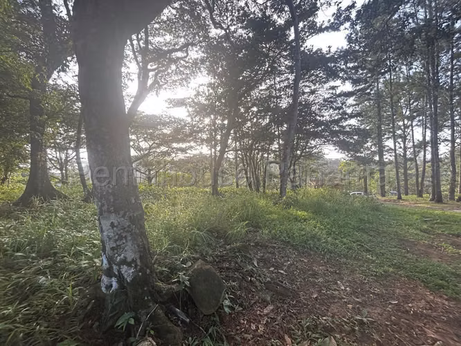 Se Vende Terreno en Cerro Azul DPA27-864 - Imagen 9