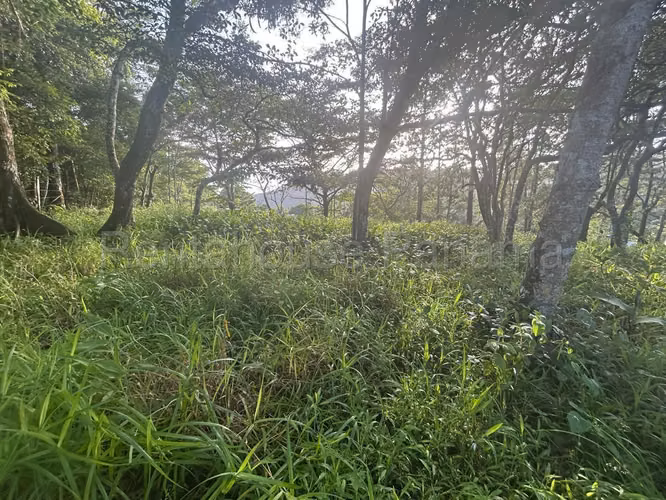 Se Vende Terreno en Cerro Azul DPA27-864 - Imagen 10