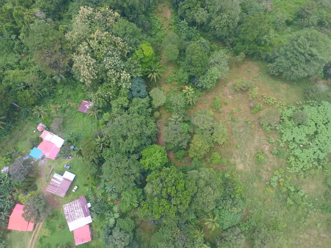 Se Vende Terreno en Gatun DPA26-2191 - Imagen 11