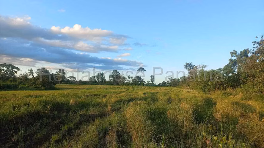 Se Vende Terreno en Darien DPA26-3242 - Imagen 4