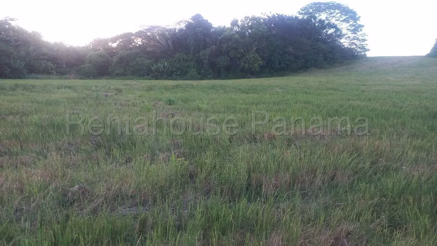 Land for Sale in Darien DPA26-3242