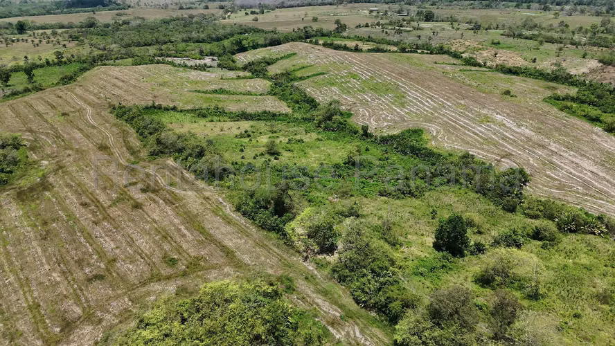 Se Vende Terreno en Darien DPA26-3242 - Imagen 8