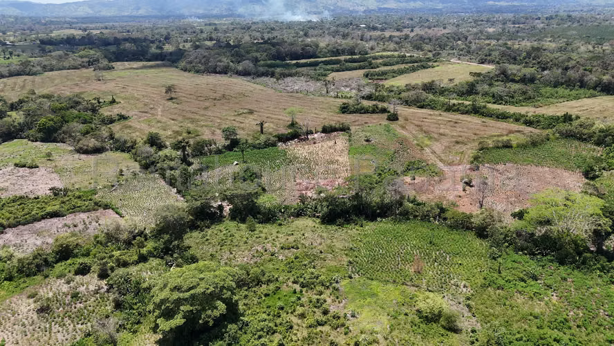 Se Vende Terreno en Darien DPA26-3242 - Imagen 11
