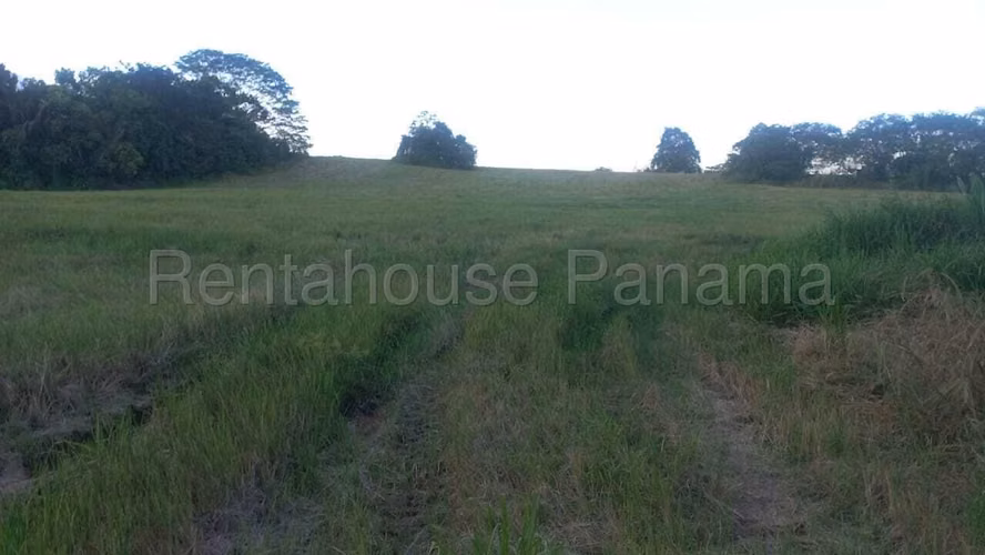 Se Vende Terreno en Darien DPA26-3242 - Imagen 2