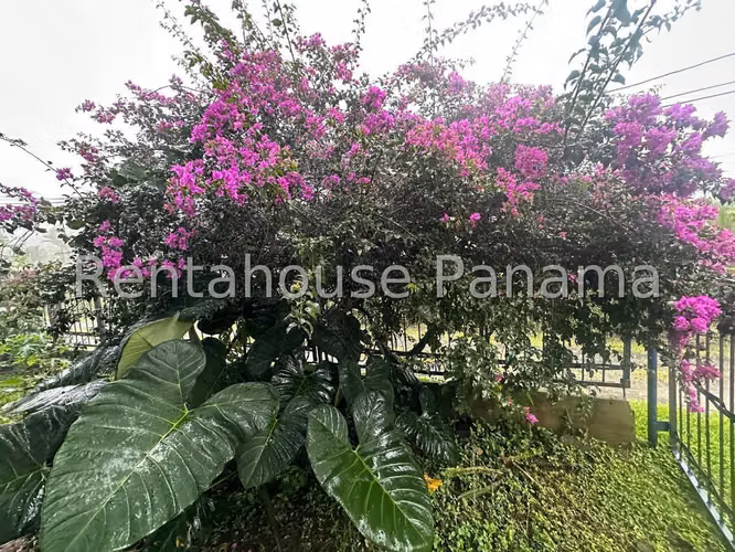 Vendo Casa en Cocle LC25-3138 - Imagen 19