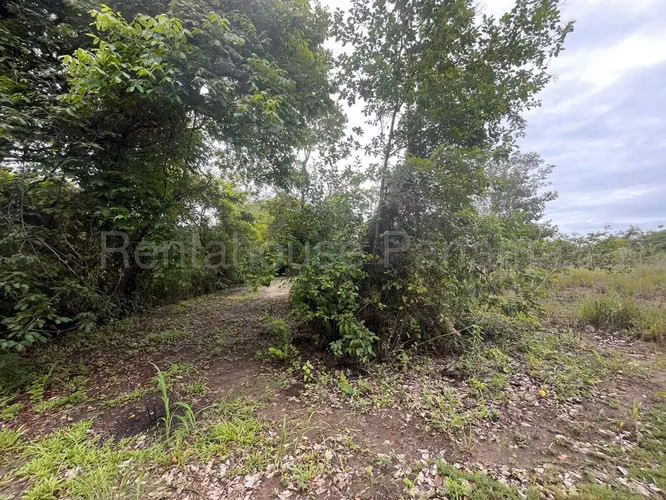 VENTA DE TERRENO EN RÍO HATO.  DDB27-1339 - Imagen 15