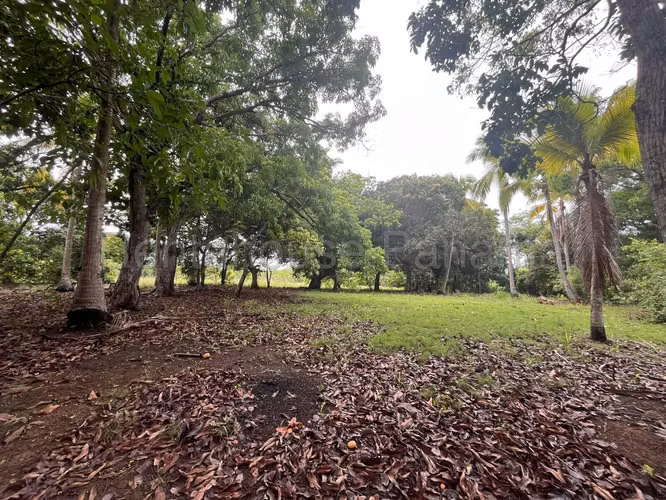 VENTA DE TERRENO EN RÍO HATO.  DDB27-1339 - Imagen 19