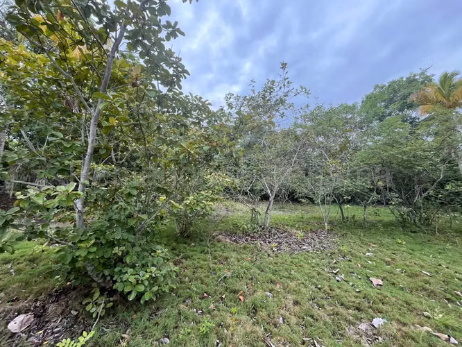 VENTA DE TERRENO EN RÍO HATO.  DDB27-1339 - Imagen 12