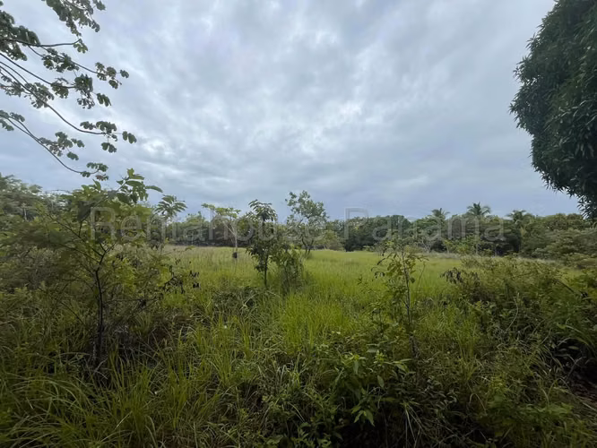VENTA DE TERRENO EN RÍO HATO.  DDB27-1339 - Imagen 9