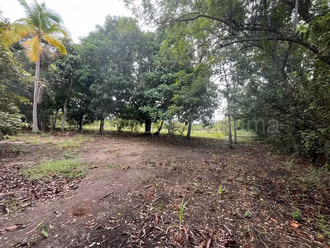 VENTA DE TERRENO EN RÍO HATO.  DDB27-1339 - Imagen 16