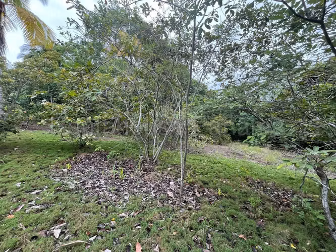 VENTA DE TERRENO EN RÍO HATO.  DDB27-1339 - Imagen 14